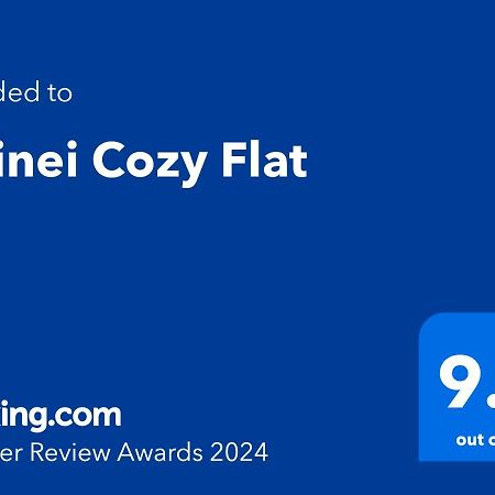 Doinei Cozy Flat Apartment Timisoara Ngoại thất bức ảnh