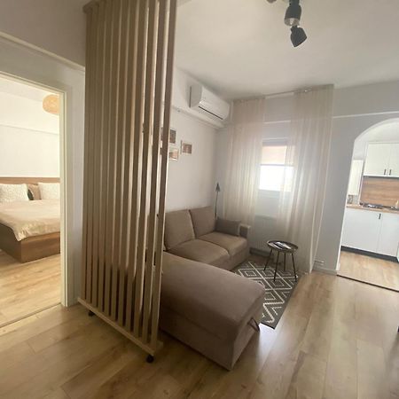 Doinei Cozy Flat Apartment Timisoara Ngoại thất bức ảnh
