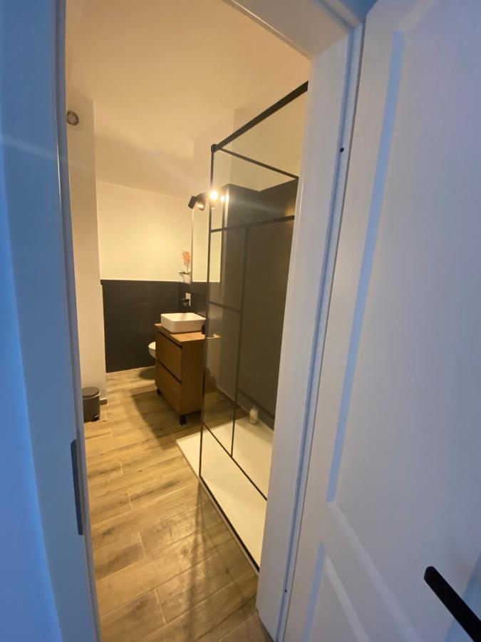 Doinei Cozy Flat Apartment Timisoara Ngoại thất bức ảnh