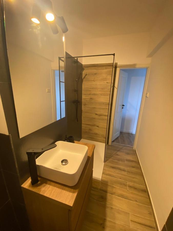 Doinei Cozy Flat Apartment Timisoara Ngoại thất bức ảnh