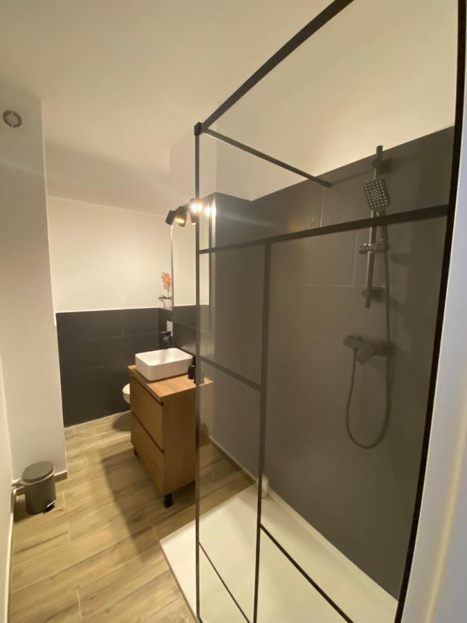 Doinei Cozy Flat Apartment Timisoara Ngoại thất bức ảnh
