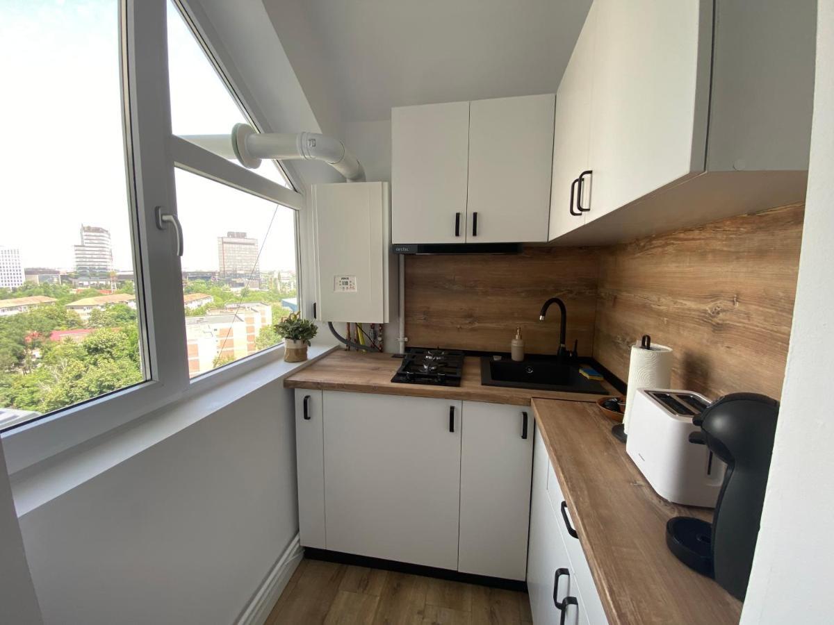 Doinei Cozy Flat Apartment Timisoara Ngoại thất bức ảnh