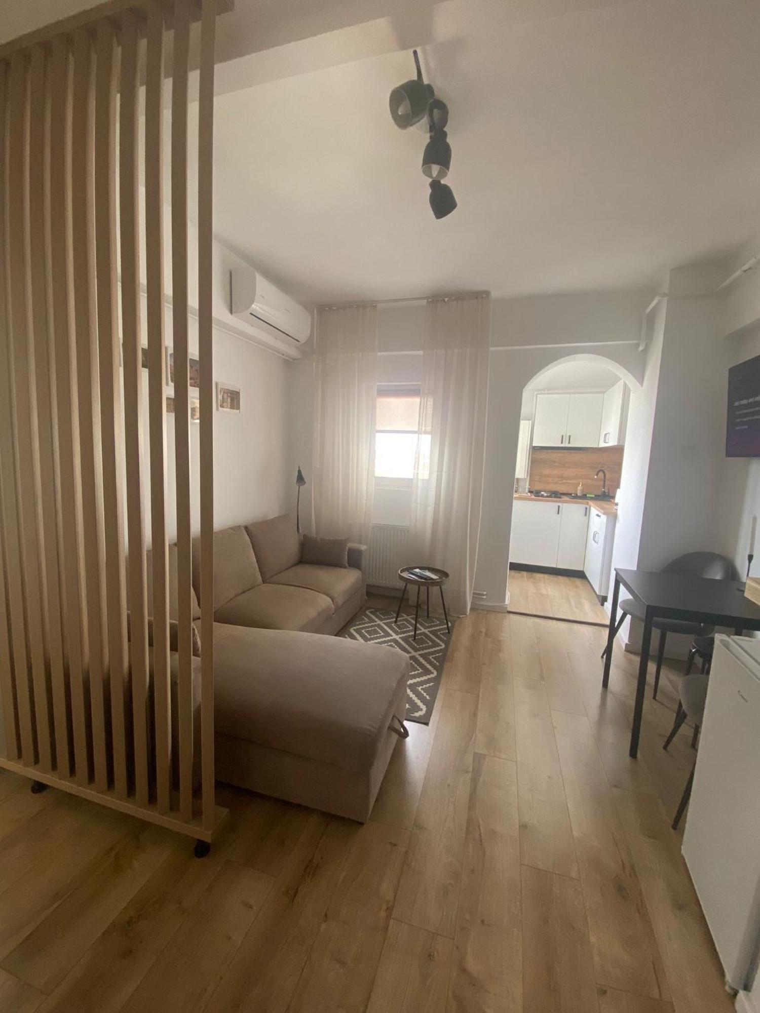 Doinei Cozy Flat Apartment Timisoara Ngoại thất bức ảnh
