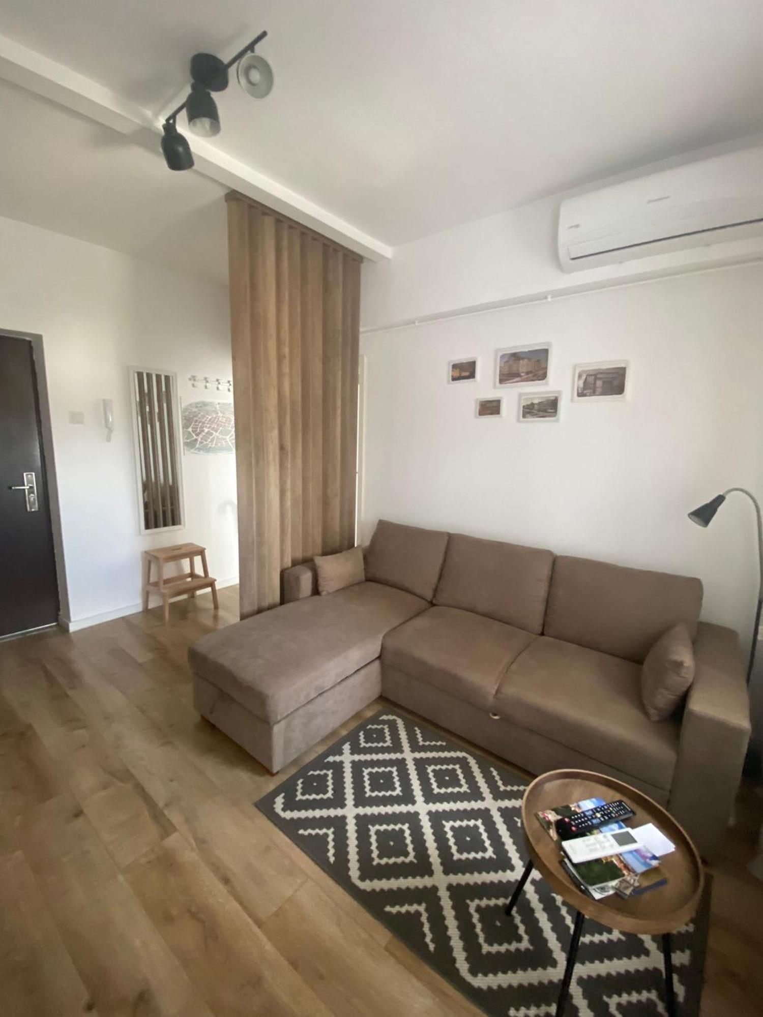 Doinei Cozy Flat Apartment Timisoara Ngoại thất bức ảnh