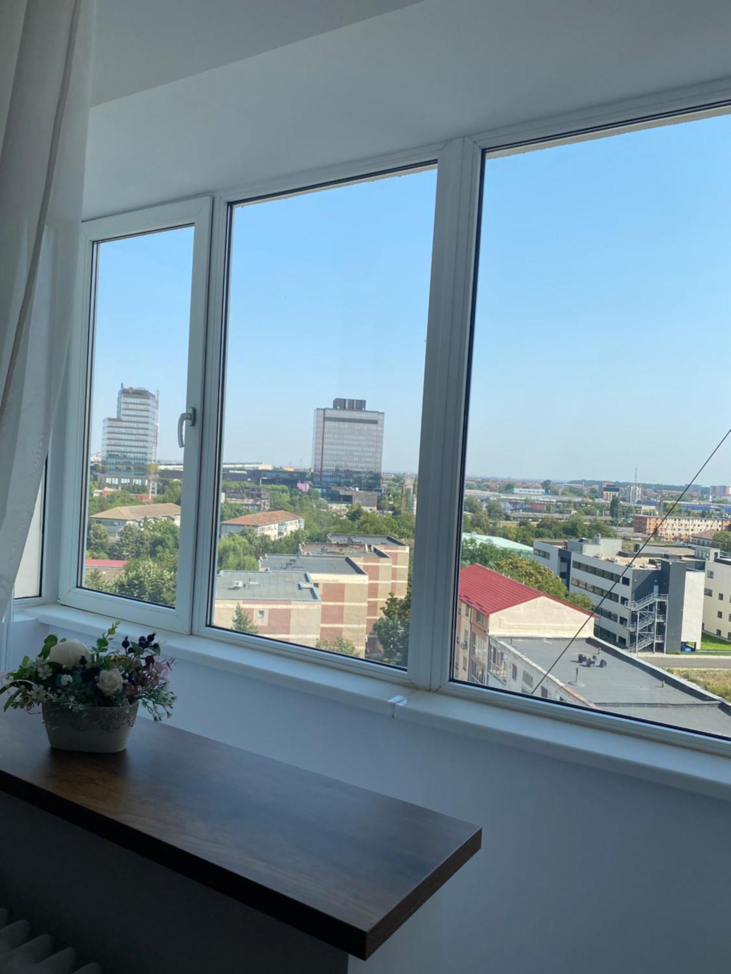Doinei Cozy Flat Apartment Timisoara Ngoại thất bức ảnh